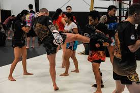 Image result for Jein Muay Thai