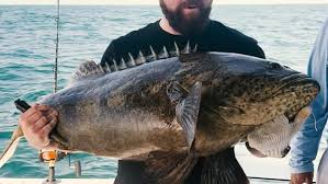 Image result for Bargoed Sea Anglers