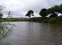 Image result for Wheatley Hill Angling Club