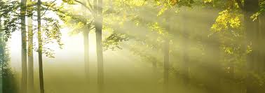 Image result for Maulden Nc