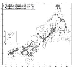 Attēlu rezultāti vaicājumam “Pseudotaxiphyllum elegans”