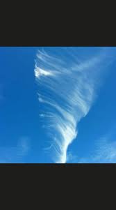 Attēlu rezultāti vaicājumam “Cirrus fibratus”