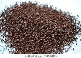 Attēlu rezultāti vaicājumam “Oenothera biennis fruit”