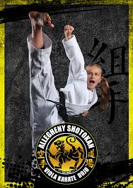 Image result for Northern Freestyle Karate Association