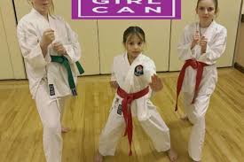 Image result for Sudbury Shotokan Karate Club kugb
