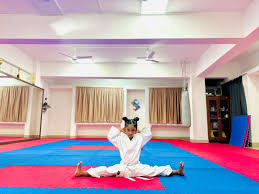 Image result for Caversham Karate Club SSKA