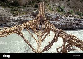 Image result for PONT DE SINGE