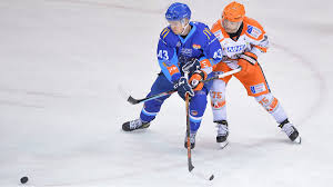 Image result for Telford Junior Ice Hockey Club