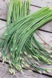 Image result for Schnittknoblauch