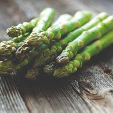 Attēlu rezultāti vaicājumam “Asparagus officinalis”