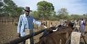 BBC News - Zimbabwe country profile - Overview