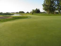 Image result for Airdrie Golf Club