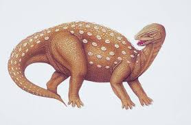 Image result for MINMI