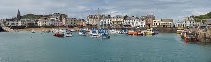 Image result for Ilfracombe & N Devon
