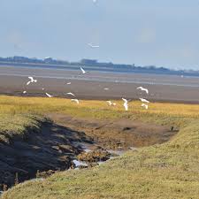 Image result for Holbeach and Fenland