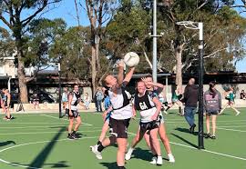 Image result for Ledbury Magpies Netball Club