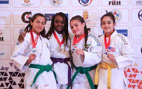 Image result for Aylwin Judo Club