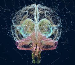 Image result for consciousness