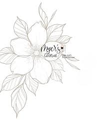 Image result for D.A.R.E!! Development + RadiMate IV