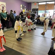 Image result for Bushin Kenpo Kai Schools