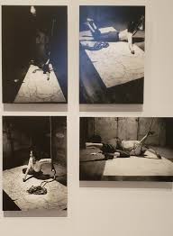 Image result for Schneemann