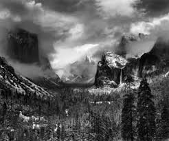 Image result for Ansel Adams Aspens New Mexico