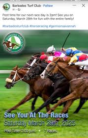 Image result for Haydock Hunters Speedminton Club