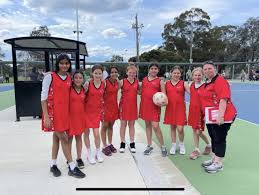 Image result for Waverley Netball Club