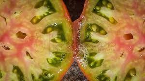 Afbeeldingsresultaat voor marizol purple tomato