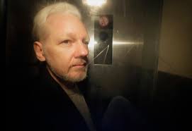 Image result for assange