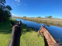 Image result for Lakes Riding Club