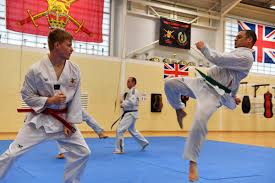 Image result for Great Britain Martial Arts Academy