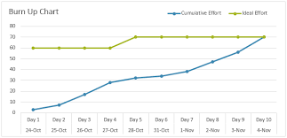 Image result for burnup chart