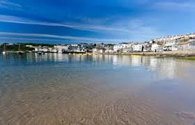 Image result for St Ives Cc, Cornwall