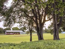 Image result for Carlton Cricket Club