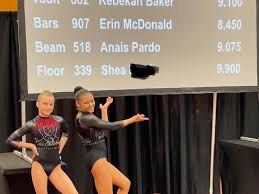 Image result for Avondale Gymnastics Club