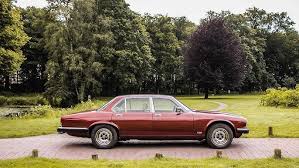 Image result for Barley Yellow 1981 Jaguar