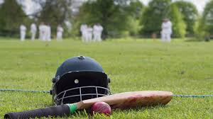 Image result for Purnell Cricket Club