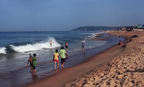 Image result for goa beaches