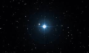 Image result for Cancer borealis