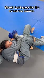 Image result for Bully Me Now Mixed Martial Arts