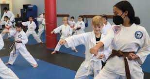 Image result for Absolute tae kwon do association