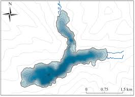 Image result for Salmo ezenami