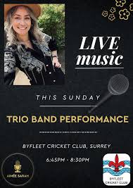 Image result for Byfleet Cricket Club