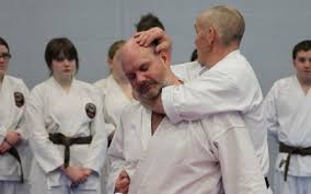 Image result for Mickleham Seiki Juku Karate Club