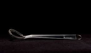 Image result for nigella whisk