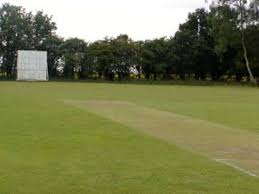 Image result for Flamingo Cricket Club