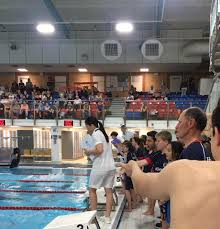 Image result for Brighton Swimming Club