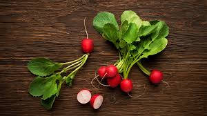 Image result for Radieschen