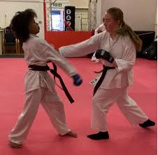Image result for Colchester Wado Ryu Karate